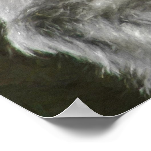 SILVERBACK GORILLA LEADER POSTER (Hoek)