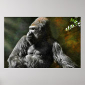 SILVERBACK GORILLA LEADER POSTER (Voorkant)