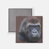 Silverback Gorilla Magneet (Voorkant / Achterkant)