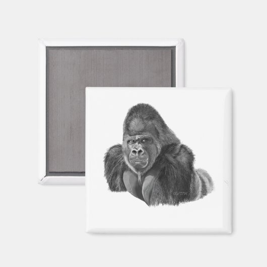 Silverback Gorilla Magnet ゴリラのマグネット (Voorkant / Achterkant)