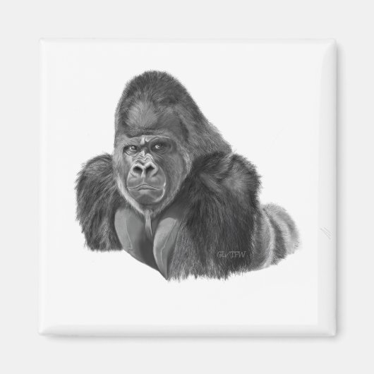 Silverback Gorilla Magnet ゴリラのマグネット (Voorkant)