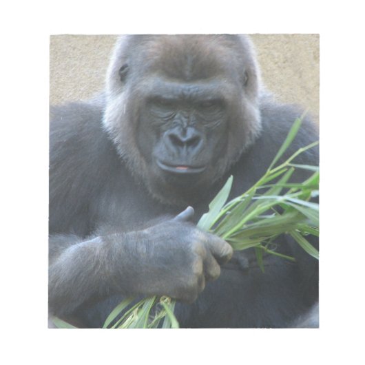 Silverback Gorilla Notitieblok (Voorkant)