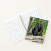 Silverback Gorilla Notitieboek, 8,5 x 11 + Notitieboek (Binnen)
