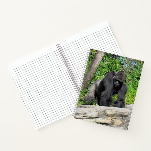 Silverback Gorilla Notitieboek, 8,5 x 11 + Notitieboek (Binnen)