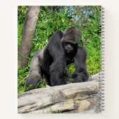 Silverback Gorilla Notitieboek, 8,5 x 11 + Notitieboek (Achterkant)