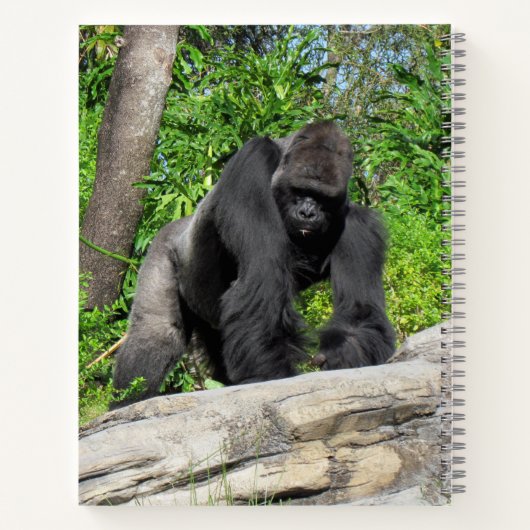 Silverback Gorilla Notitieboek, 8,5 x 11 + Notitieboek (Achterkant)
