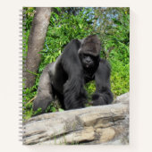 Silverback Gorilla Notitieboek, 8,5 x 11 + Notitieboek (Voorkant)
