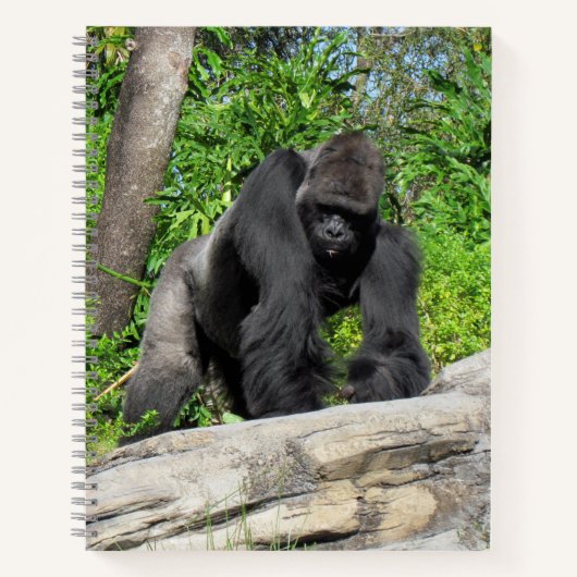 Silverback Gorilla Notitieboek, 8,5 x 11 + Notitieboek (Voorkant)