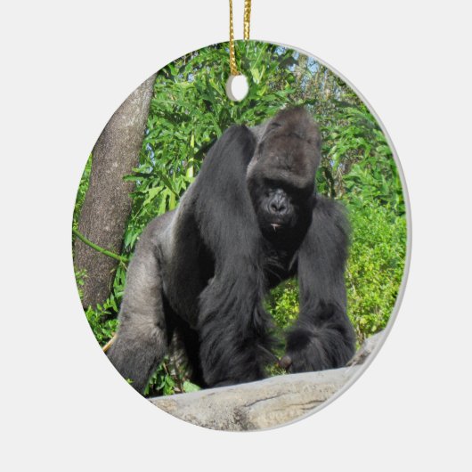 Silverback Gorilla Ornament (Links)