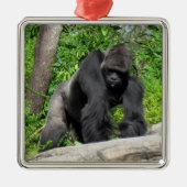 Silverback Gorilla Ornament (Voorkant)
