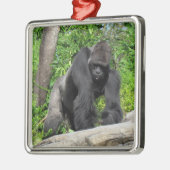 Silverback Gorilla Ornament (Links)