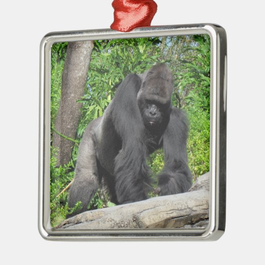 Silverback Gorilla Ornament (Links)