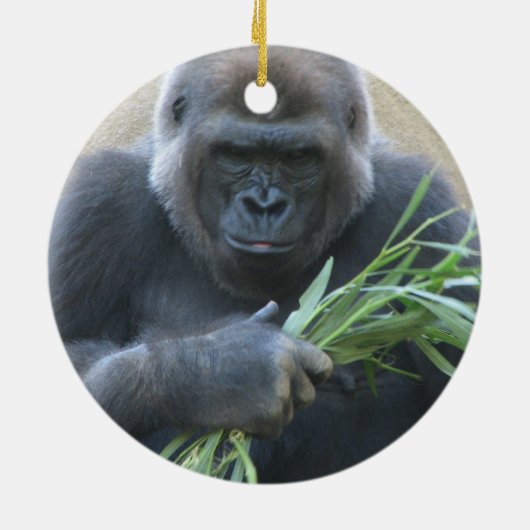 Silverback Gorilla Ornament (Achterkant)