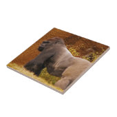 Silverback Gorilla Photo Tile Tegeltje (Zijkant)