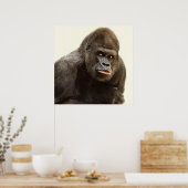Silverback gorilla-portret poster (Keuken)