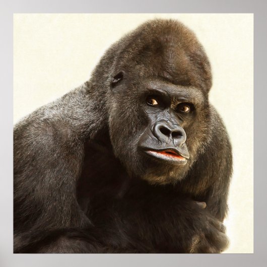 Silverback gorilla-portret poster (Voorkant)