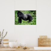 Silverback gorilla-poster afdrukken poster (Keuken)