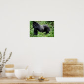 Silverback gorilla-poster afdrukken poster (Keuken)