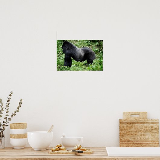 Silverback gorilla-poster afdrukken poster (Keuken)