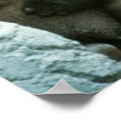 Silverback Gorilla Print (Hoek)