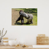 Silverback Gorilla Print (Keuken)