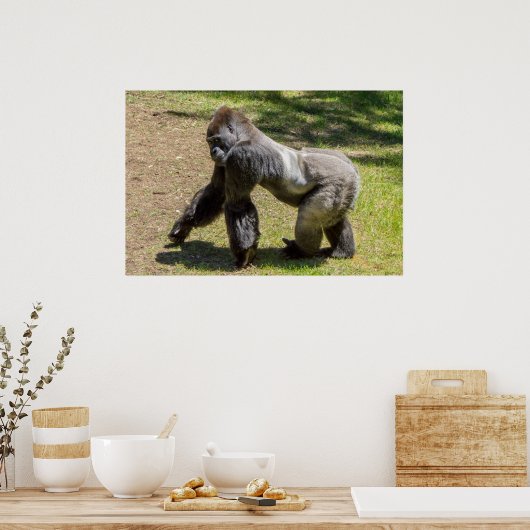 Silverback Gorilla Print (Keuken)