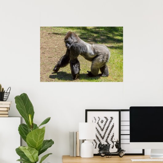 Silverback Gorilla Print (Thuiskantoor)