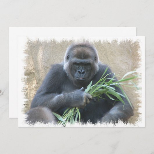 Silverback Gorilla Uitnodiging (Voorkant / Achterkant)