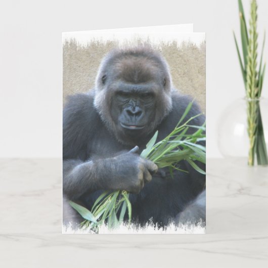 Silverback Gorilla Wenskaart Kaart (Voorkant)