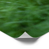 Silverback Gorilla's Stance Poster (Hoek)