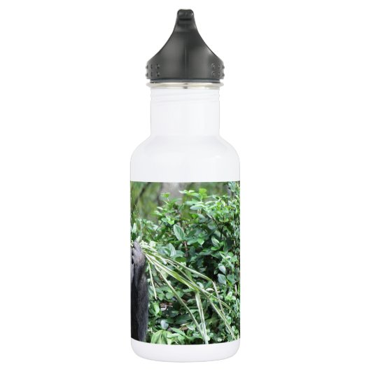 silverback gorillas waterfles  (Rechts)