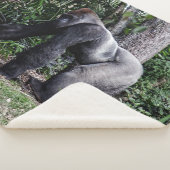 SILVERBACK GORILLOA SHERPA DEKEN (3/4)