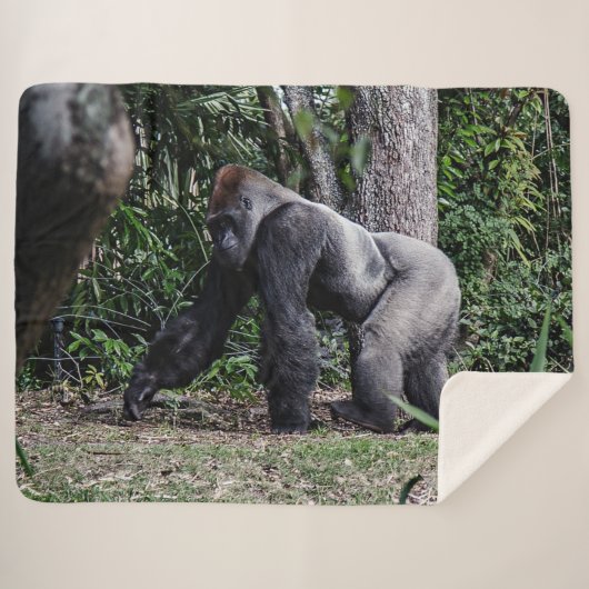 SILVERBACK GORILLOA SHERPA DEKEN (Voorkant (horizontaal))