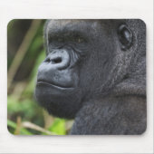 Silverback Lowland Gorilla, Gorilla Captive Muismat (Voorkant)