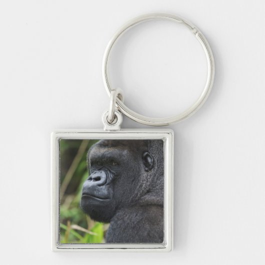 Silverback Lowland Gorilla, Gorilla Captive Sleutelhanger (Voorkant)
