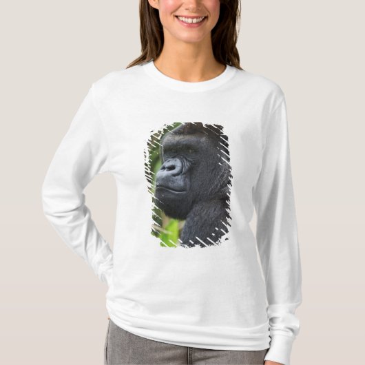 Silverback Lowland Gorilla, Gorilla Captive T-shirt (Voorkant)