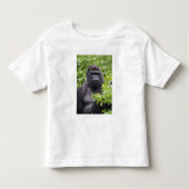 Silverback Lowland Gorilla, Gorilla gorilla, Kinder Shirts (Voorkant)