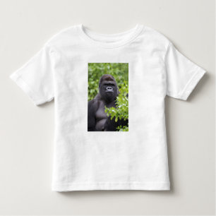 Silverback Lowland Gorilla, Gorilla gorilla, Kinder Shirts