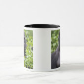 Silverback Lowland Gorilla, Gorilla gorilla, Mok (Midden)