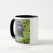 Silverback Lowland Gorilla, Gorilla gorilla, Mok (Voorkant links)