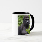 Silverback Lowland Gorilla, Gorilla gorilla, Mok (Voorkant rechts)