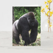 Silverback Male Gorilla die naar beneden loopt.jpg Kaart (Gele Bloem)