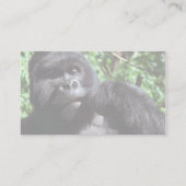 Silverback male gorilla visitekaartje (Achterkant)