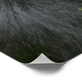 Silverback Mountain Gorilla Poster (Hoek)