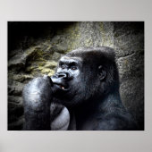 Silverback Mountain Gorilla Thinking Poster (Voorkant)