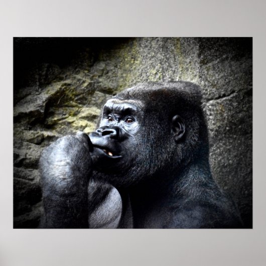 Silverback Mountain Gorilla Thinking Poster (Voorkant)
