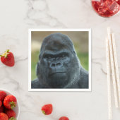 Silverback Servet (Insitu)