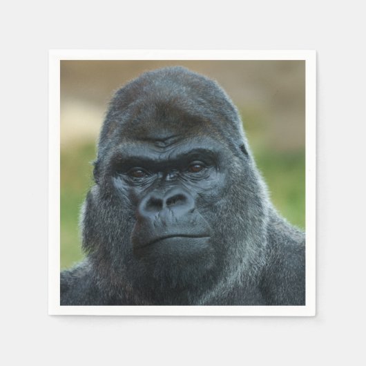 Silverback Servet (Voorkant)