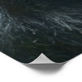 Silverback Splendor Poster (Hoek)