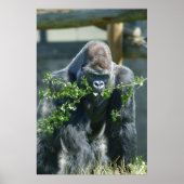 Silverback Splendor Poster (Voorkant)